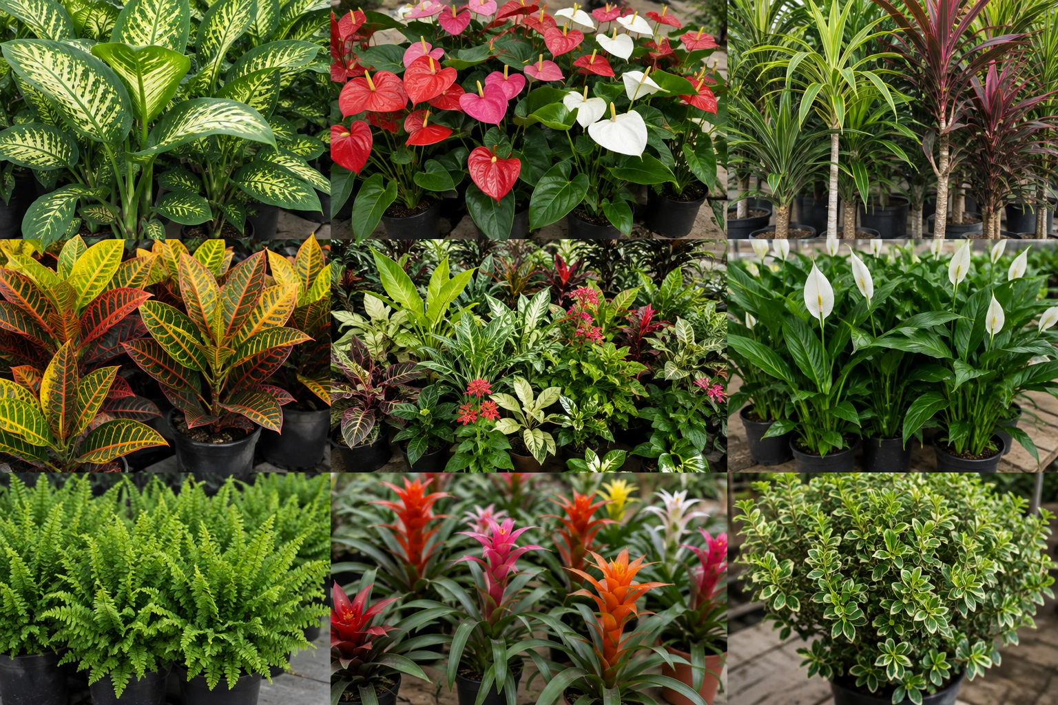 Calidad de productos Villa Flor del Perú